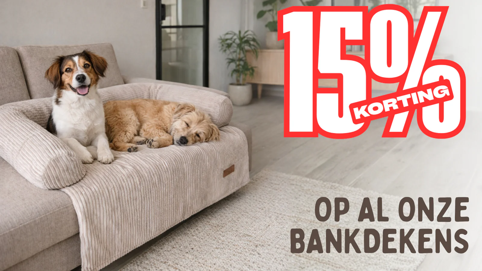 Welcome to Our Store